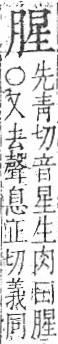 字彙 卷九．肉部．頁86．右