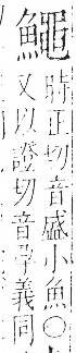 字彙 卷一三．魚部．頁41．左