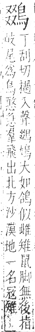 字彙 卷一三．鳥部．頁51．右