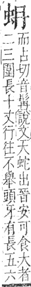 字彙 