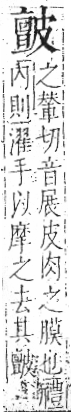 字彙 卷八．皮部．頁48．左