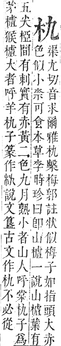 正字通 卷五．木部．辰集中．頁6