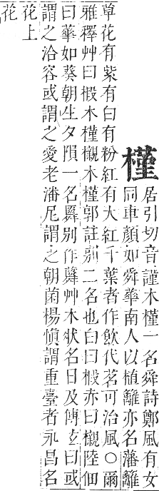 正字通 卷五．木部．辰集中．頁98