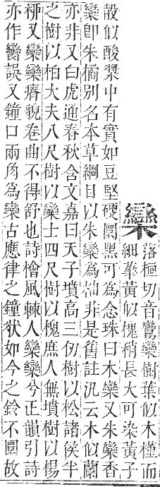 正字通 卷五．木部．辰集中．頁132