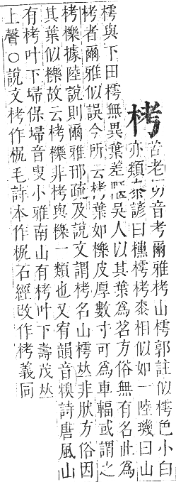 正字通 卷五．木部．辰集中．頁40