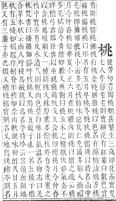 正字通 卷五．木部．辰集中．頁44