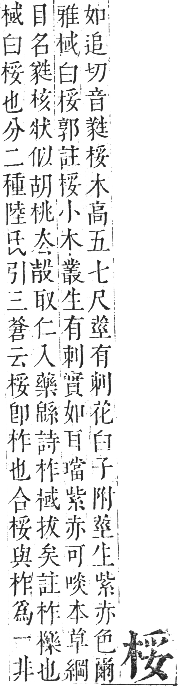 正字通 卷五．木部．辰集中．頁49