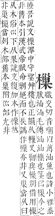 正字通 卷五．木部．辰集中．頁102