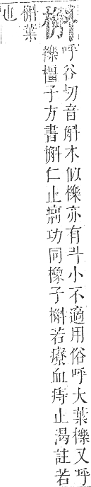 正字通 卷五．木部．辰集中．頁97