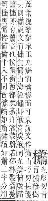 正字通 卷五．木部．辰集中．頁128