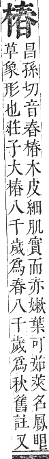 正字通 