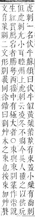 正字通 卷五．木部．辰集中．頁7