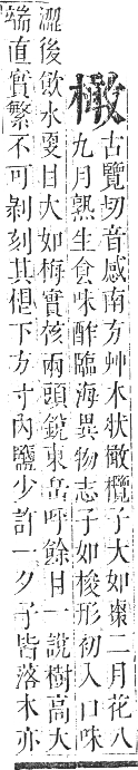 正字通 