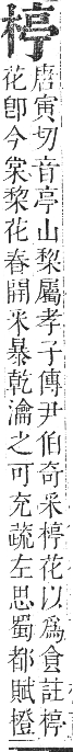 正字通 