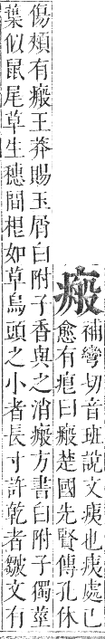 正字通 卷七．疒部．午集中．頁19