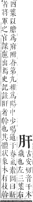 正字通 