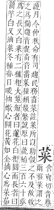 正字通 