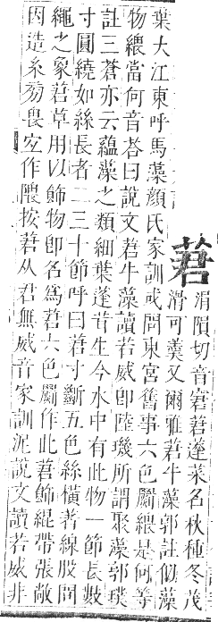 正字通 卷九．艸部．申集上．頁44