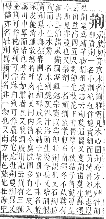 正字通 