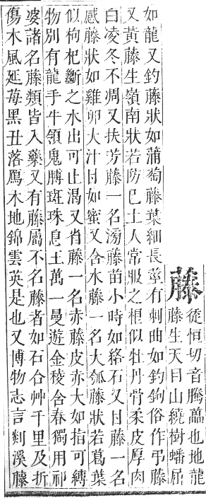 正字通 