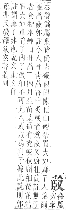 正字通 卷九．艸部．申集上．頁56