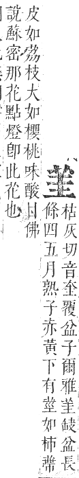 正字通 卷九．艸部．申集上．頁30