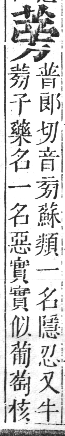 正字通 