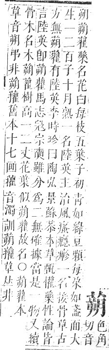 正字通 卷九．艸部．申集上．頁84