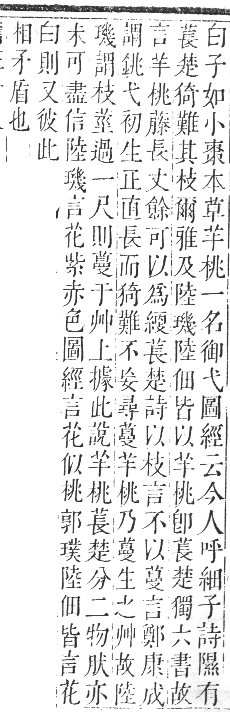 正字通 卷九．艸部．申集上．頁4