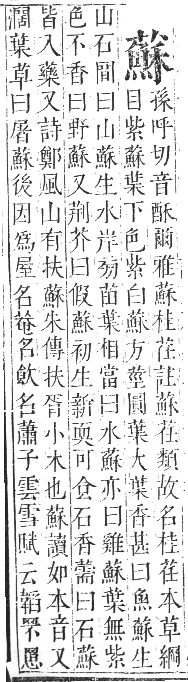 正字通 