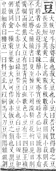 正字通 