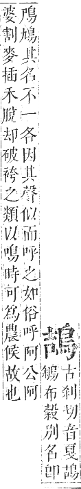 正字通 卷一二．鳥部．亥集中．頁51