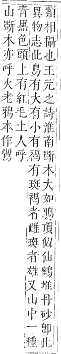 正字通 卷一二．鳥部．亥集中．頁51