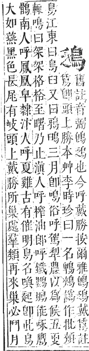 正字通 