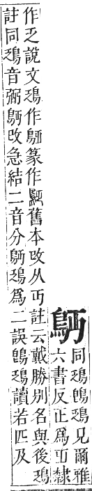 正字通 卷一二．鳥部．亥集中．頁41