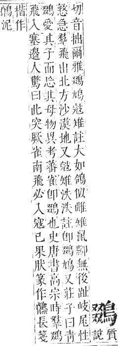 正字通 卷一二．鳥部．亥集中．頁63