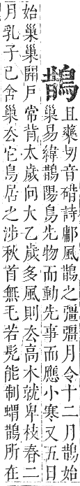 正字通 