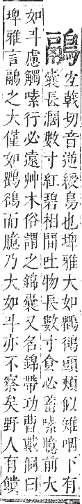 正字通 卷一二．鳥部．亥集中．頁74