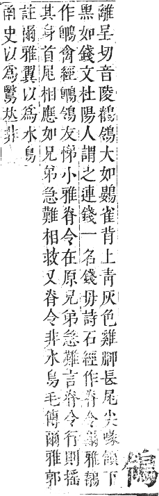 正字通 卷一二．鳥部．亥集中．頁45