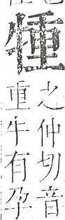 正字通 v9．牛部．巳下．頁11.0