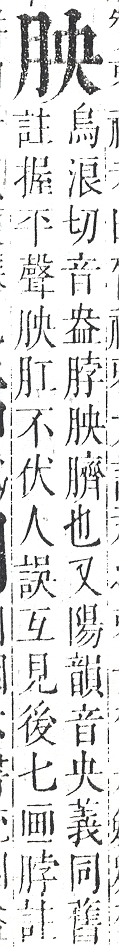 正字通 v11．肉部．未下．頁13.0