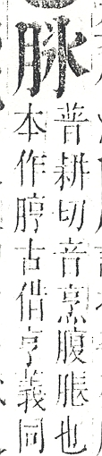 正字通 v11．肉部．未下．頁13.0