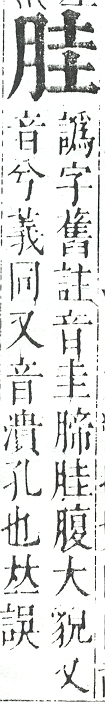 正字通 v11．肉部．未下．頁15.0