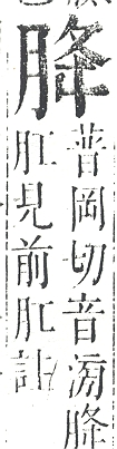 正字通 v11．肉部．未下．頁13.0