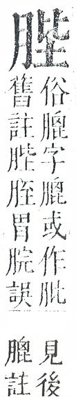 正字通 v11．肉部．未下．頁18.0