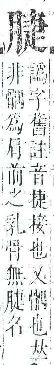 正字通 v11．肉部．未下．頁21.0