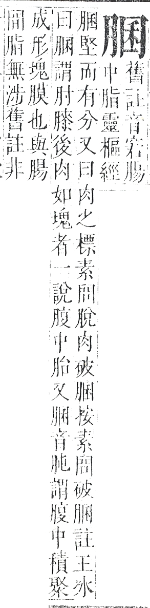 正字通 v11．肉部．未下．頁22.0