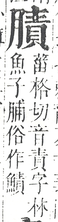 正字通 v11．肉部．未下．頁31.0