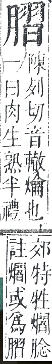 正字通 v11．肉部．未下．頁32.0