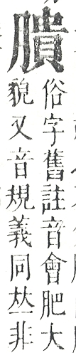 正字通 v11．肉部．未下．頁33.0